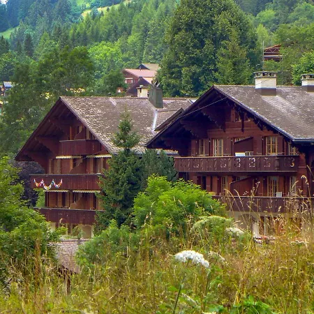 Apartment Bergkristall Apt- P By Interhome Wengen