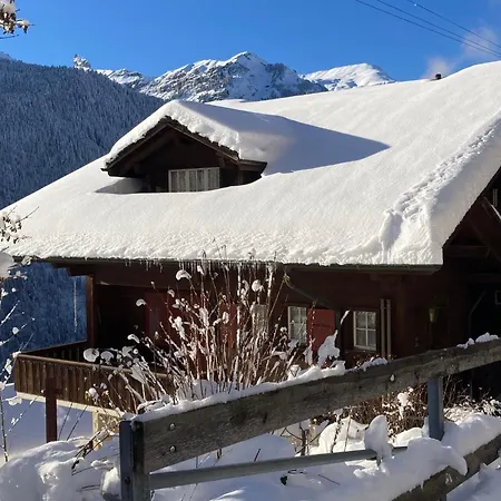 Bergkristall Apt- P By Interhome Apartman Wengen