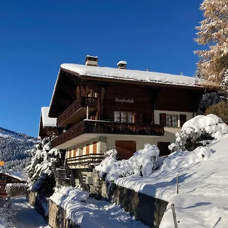 Bergkristall Apt- P By Interhome 아파트