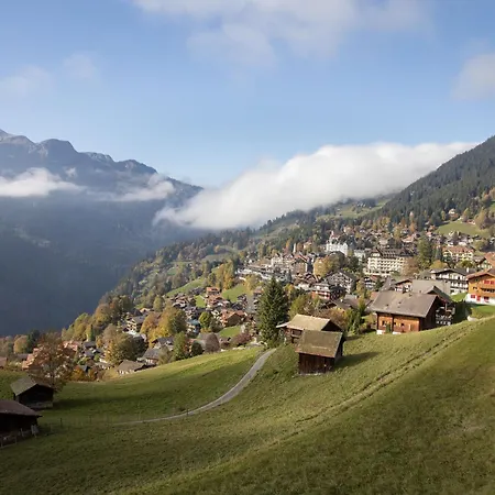 Apartment Bergkristall Apt- P By Interhome Wengen