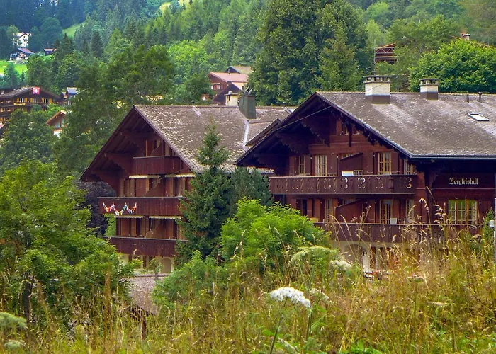 Bergkristall Apt- P By Interhome Wengen