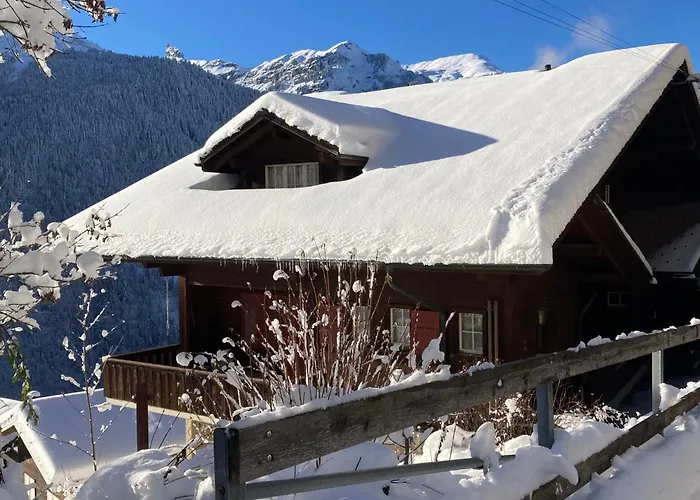 Bergkristall Apt- P By Interhome Apartamento Wengen